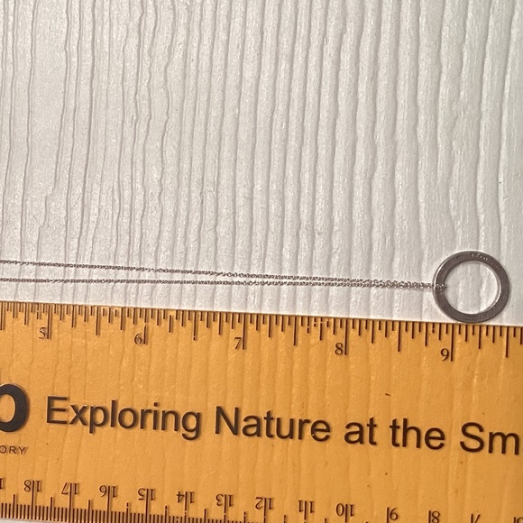 Authentic Tiffany & Co 1837 Sterling Silver Circle Pendant Necklace - Picture 3 of 4